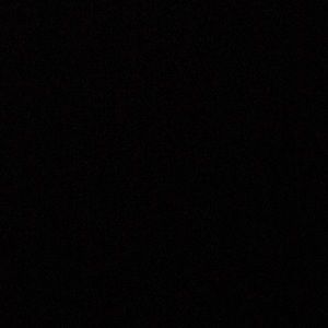 Meet your Posher, Elsa